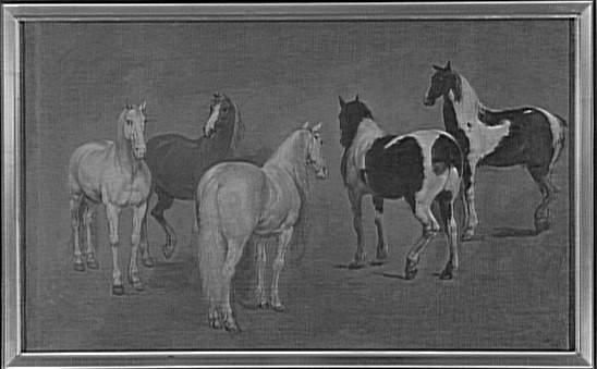 ETUDE DE CINQ CHEVAUX