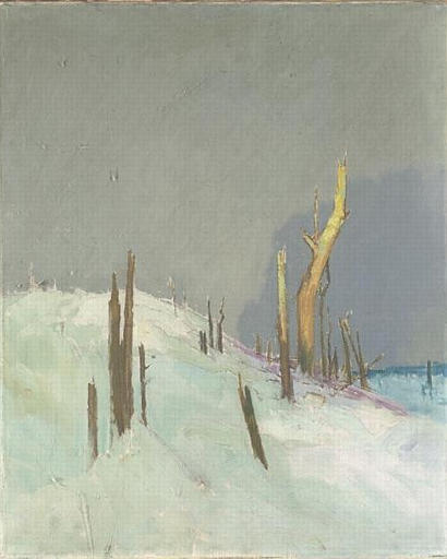 VUE DU FRONT ; LA FORÊT RAVAGÉE PAR LA GUERRE