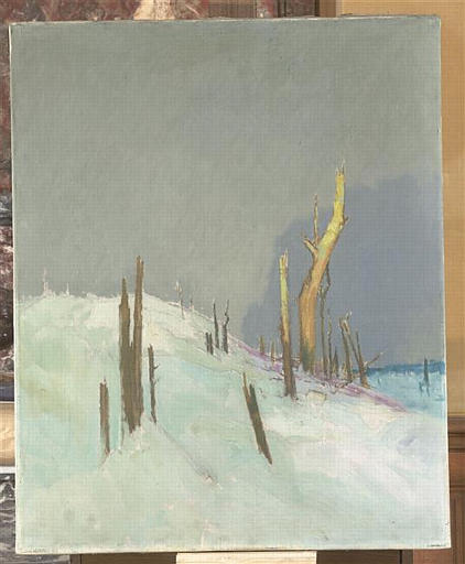 Vue du front, la forêt ravagée par la guerre