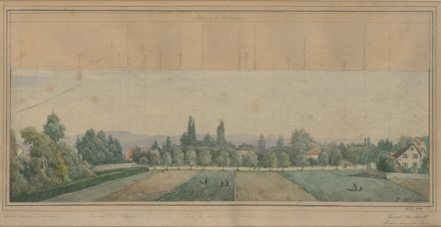 VUE D'ALSACE : SCHILTIGHEIM