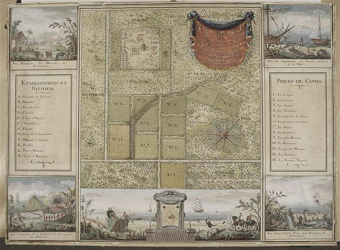 Plan de l'habitation de Févret de Saint-Mémin à Saint-Domingue [actuelle Haiti]