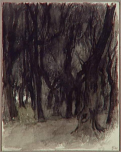 ROME, VILLA MEDICIS, LE BOIS DE CHENES VERTS