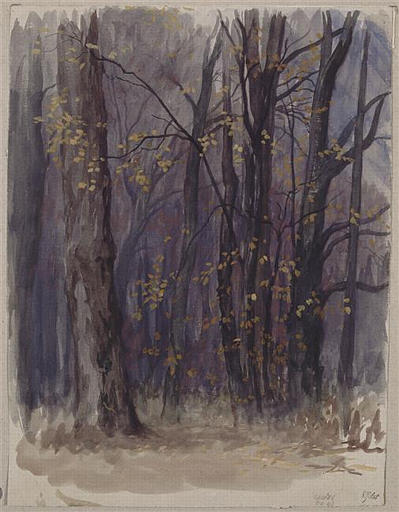 ROME, BOIS DE LA VILLA MEDICIS, TAILLIS A L'AUTOMNE