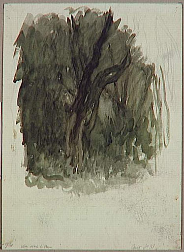 ROME, VILLA MEDICIS, LE BOIS DE CHENES VERTS