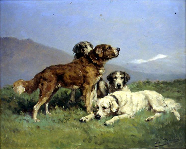 CHIENS AU REPOS