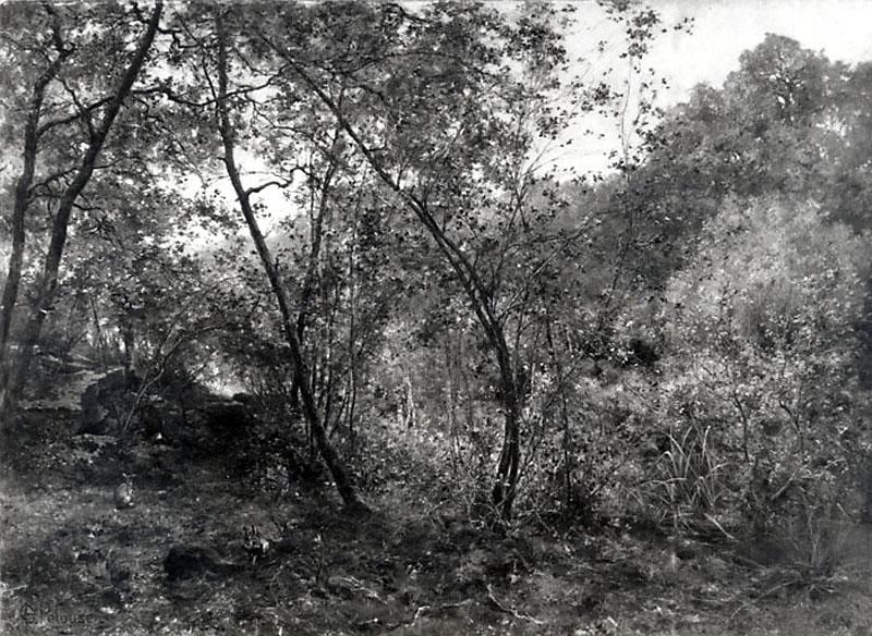 A TRAVERS BOIS, UNE MATINEE D'OCTOBRE