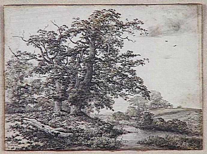 Les chênes au bord de l'eau ; Paysage (ancien titre)