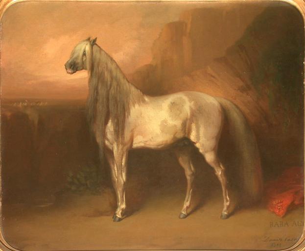 BABA-ALI, CHEVAL ARABE DU GENERAL HENRI D'ORLEANS, DUC D'AUMALE