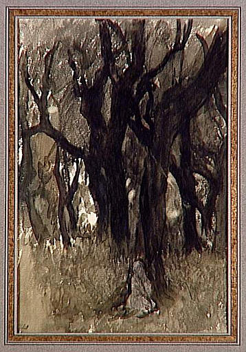 ROME, VILLA MEDICIS, CHENE VERTS ET TAILLIS