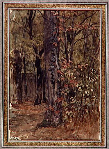 ROME, VILLA MEDICIS, CHENE VERTS ET TAILLIS