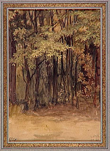 ROME, VILLA MEDICIS, CHENE VERTS ET TAILLIS