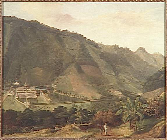 Paysage de la Martinique