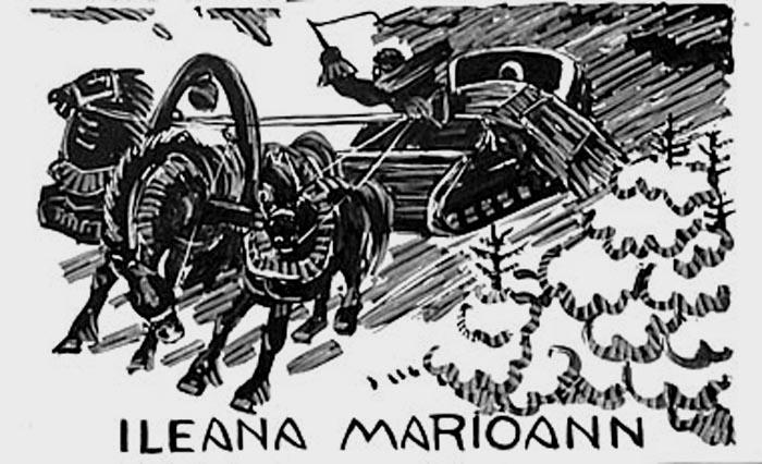 Ileana Marioann : fuite au milieu des sapins [titre attribué]