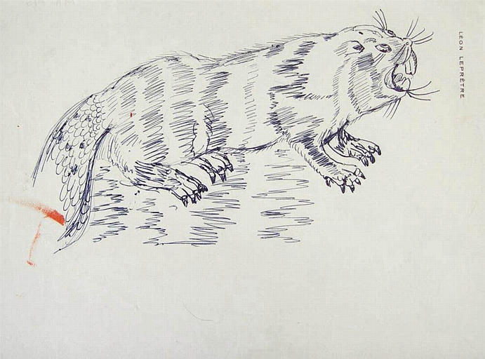 Copie de dessin : castor [titre attribué]