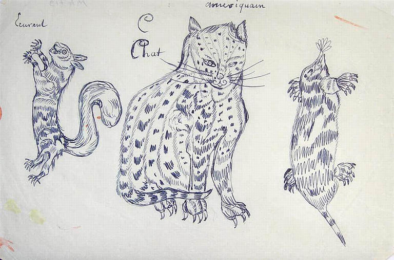 Trois animaux canadiens copie d'estampe [titre attribué]