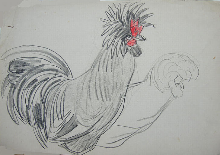 Coq en colère (étude) [titre attribué]