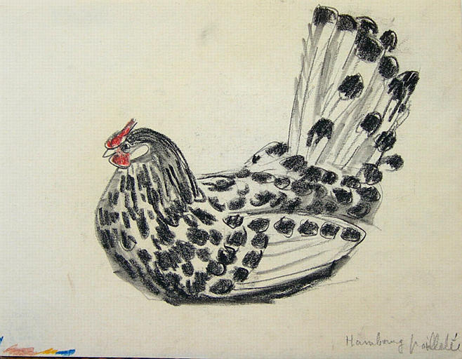 Poule de Hambourg pailletée (étude) [titre attribué]