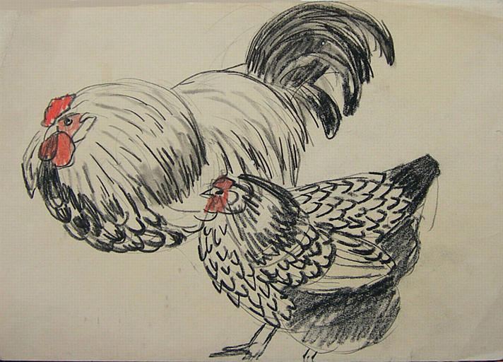 Couple gallinacé en noir et blanc (étude) [titre attribué]