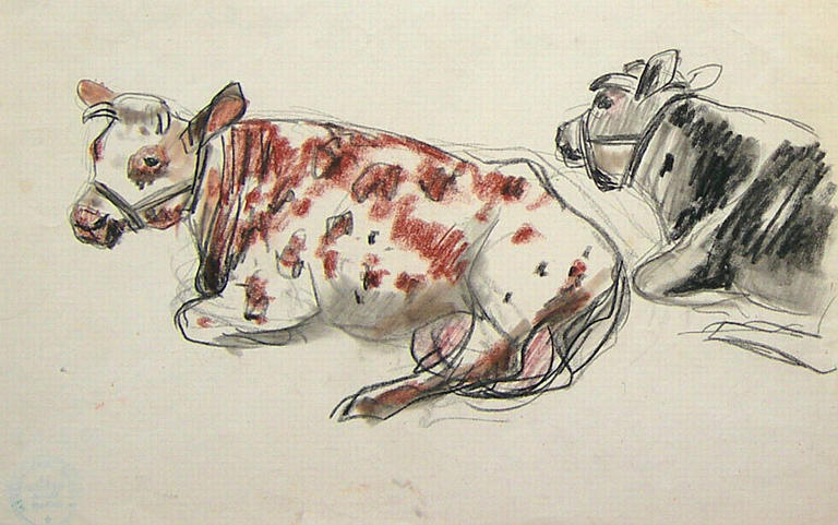 Deux vaches couchées (étude) [titre attribué]