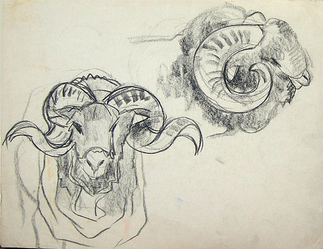 Deux têtes de béliers (études) [titre attribué]