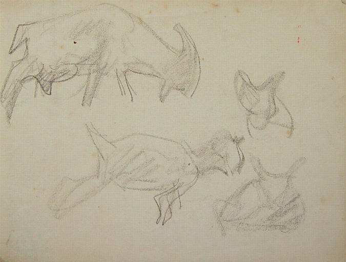 Chèvres : silhouettes (croquis) [titre attribué]