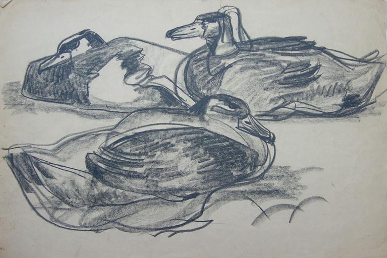 Couché dans les plumes (étude) [titre attribué]