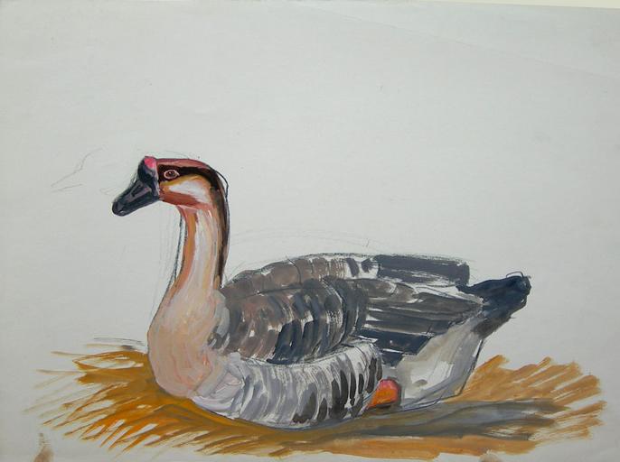 Une oie dans la paille (étude) [titre attribué]