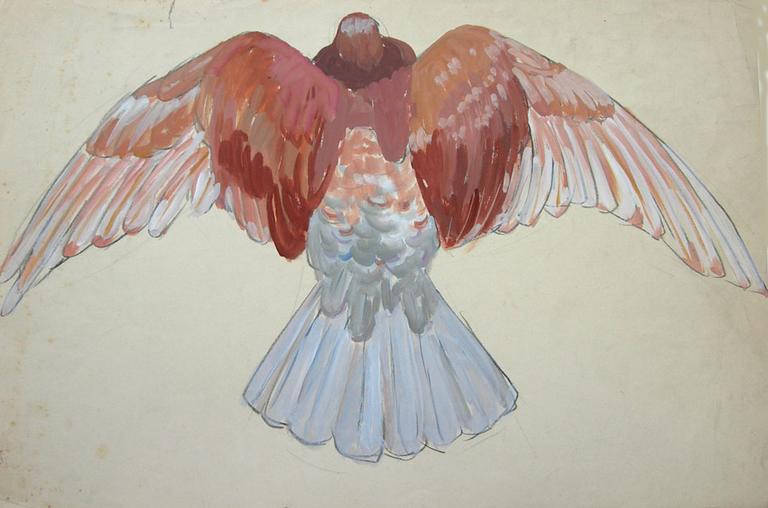 Pigeon brun, ailes déployées (étude) [titre attribué]