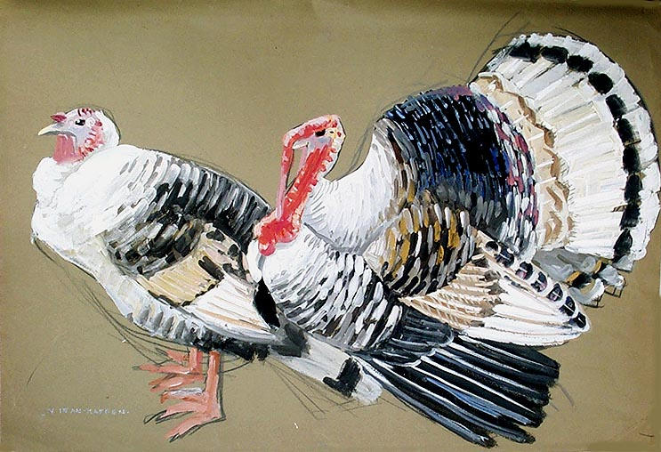 Couple de dindons couleur pastel (étude) [titre attribué]