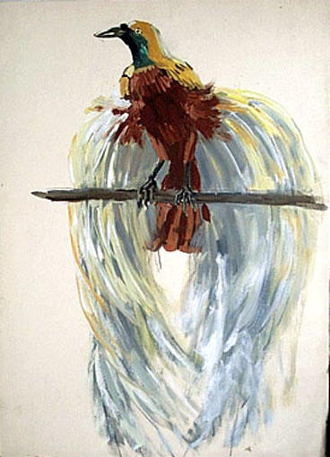 Le paradisier : nuage de plumes (étude) [titre attribué]