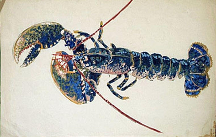 Homard bleu (étude) [titre attribué]