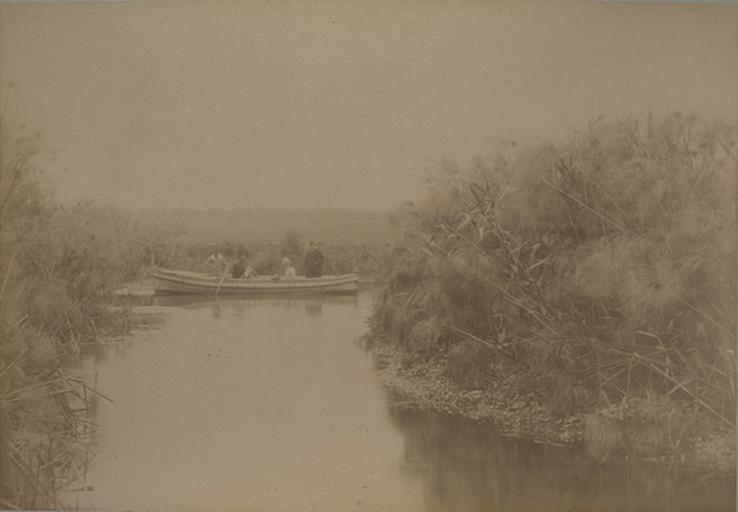 Source de la Scianée, près Syracuse. 19 avril 1885