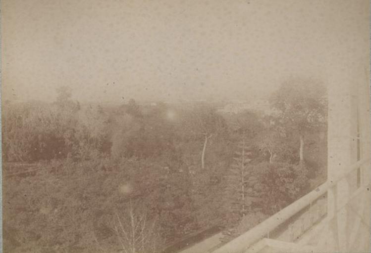 De la terrasse du duc d'Aumale. Villa d'Orléans. Palerme. 6 avril 1885
