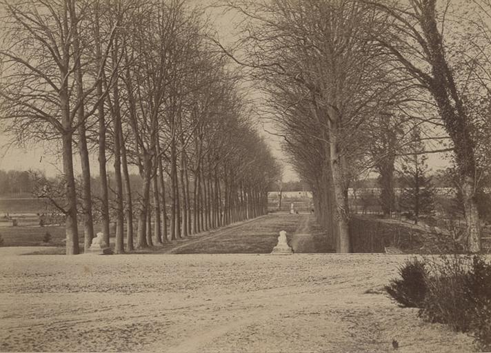 [Chantilly : l'allée des Philosophes]