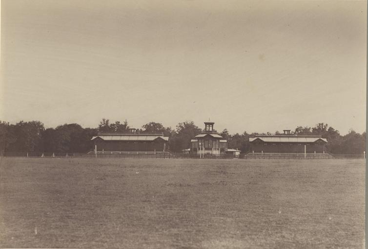 La pelouse : tribunes
