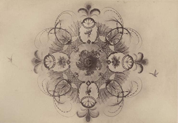 Rosace du plafond