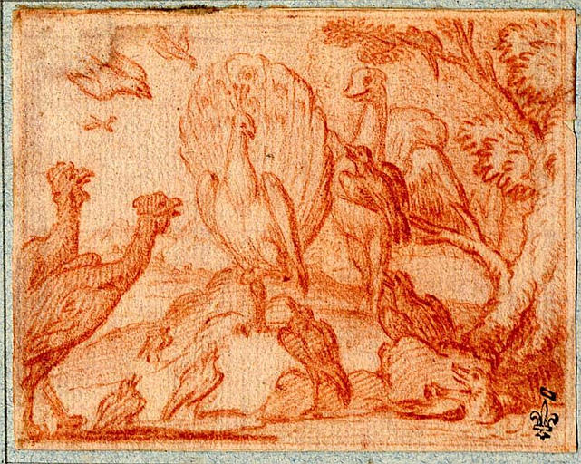 LE GEAI PARE DES PLUMES DU PAON