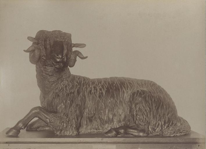 N. 250. Museo Palermo. Bronzi. Ariete di Siracusa