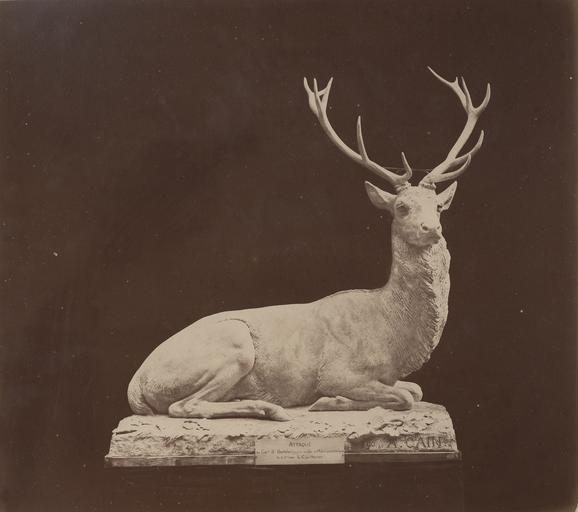 Cerf assis par Auguste Cain.1890 : attaqué au carrefour Saint-Barthélémy pris au lac de Molton après 2 h de chasse le 11 xbre 1882 L.C. par Hourvari
