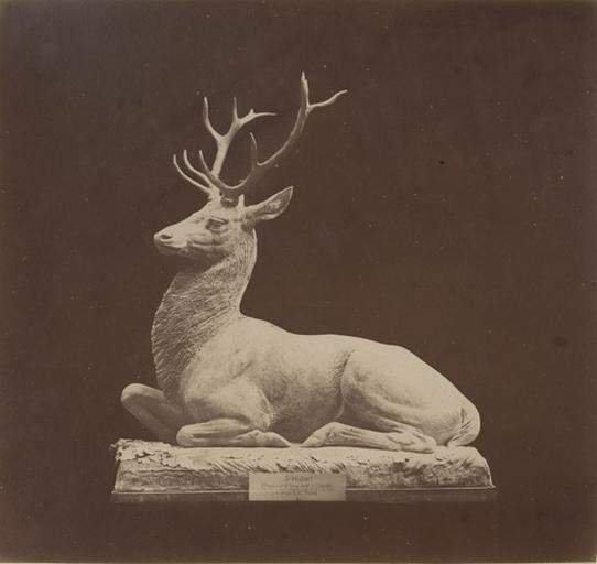 Cerf assis par Auguste Cain.1890 : Saint Huber attaqué au carrefour Saint-Remy forêt de Chantilly près de la Thève dans le village de Mongrésin après une partie de chasse le 4 9bre 1876 L.C. par Dupré