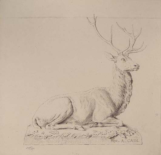 Cerf assis par Auguste Cain.1890 : dessin à la plume par F. Oger. 1890