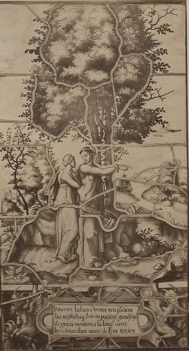 Vitrail de la Galerie de Psyché au château de Chantilly, provenant d'Ecouen : Vénus montre à Psyché les moutons auxquels elle doit arracher quelques brins de laine. 29