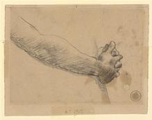 AVANT-BRAS ET MAINS CROISEES