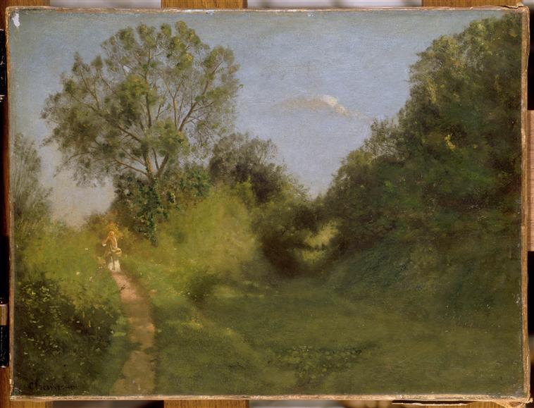 Sentier au bord d'un vallon ombreux