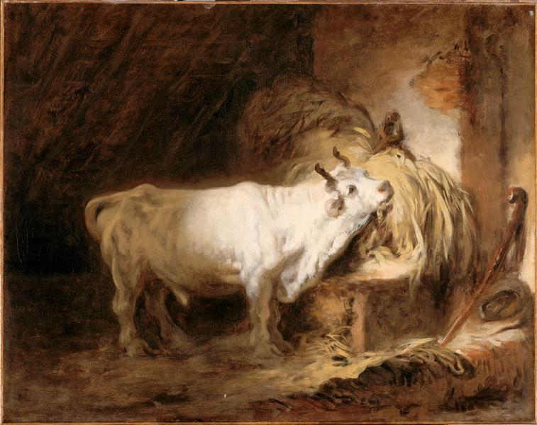 Le taureau blanc
