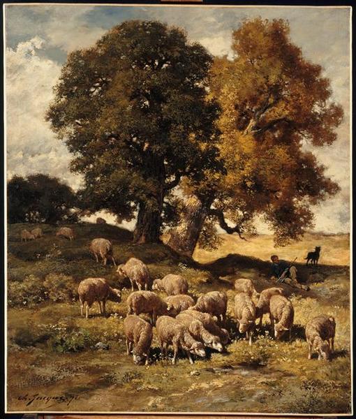 Moutons au pâturage