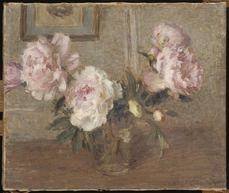 PIVOINES CHINOISES