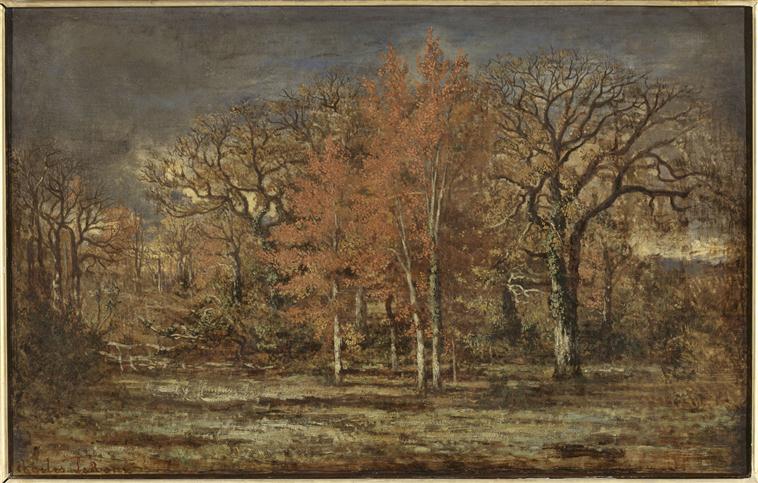 Lisière de bois. Cerisiers en automne
