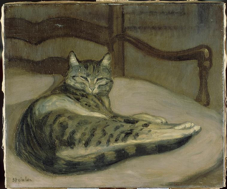 Chat sur un fauteuil