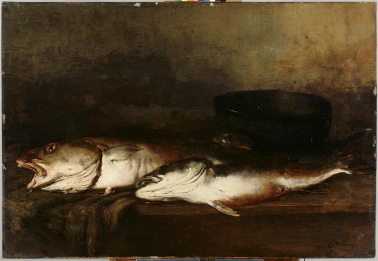 Poissons de mer